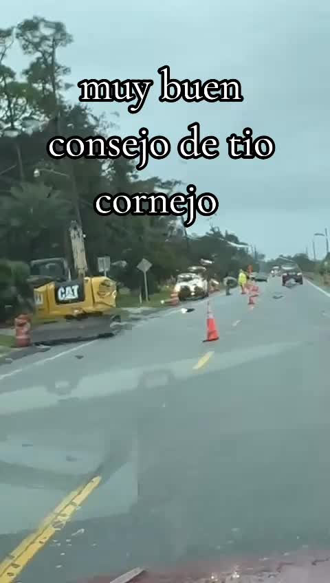 @El sic&oacute;logo de la garza