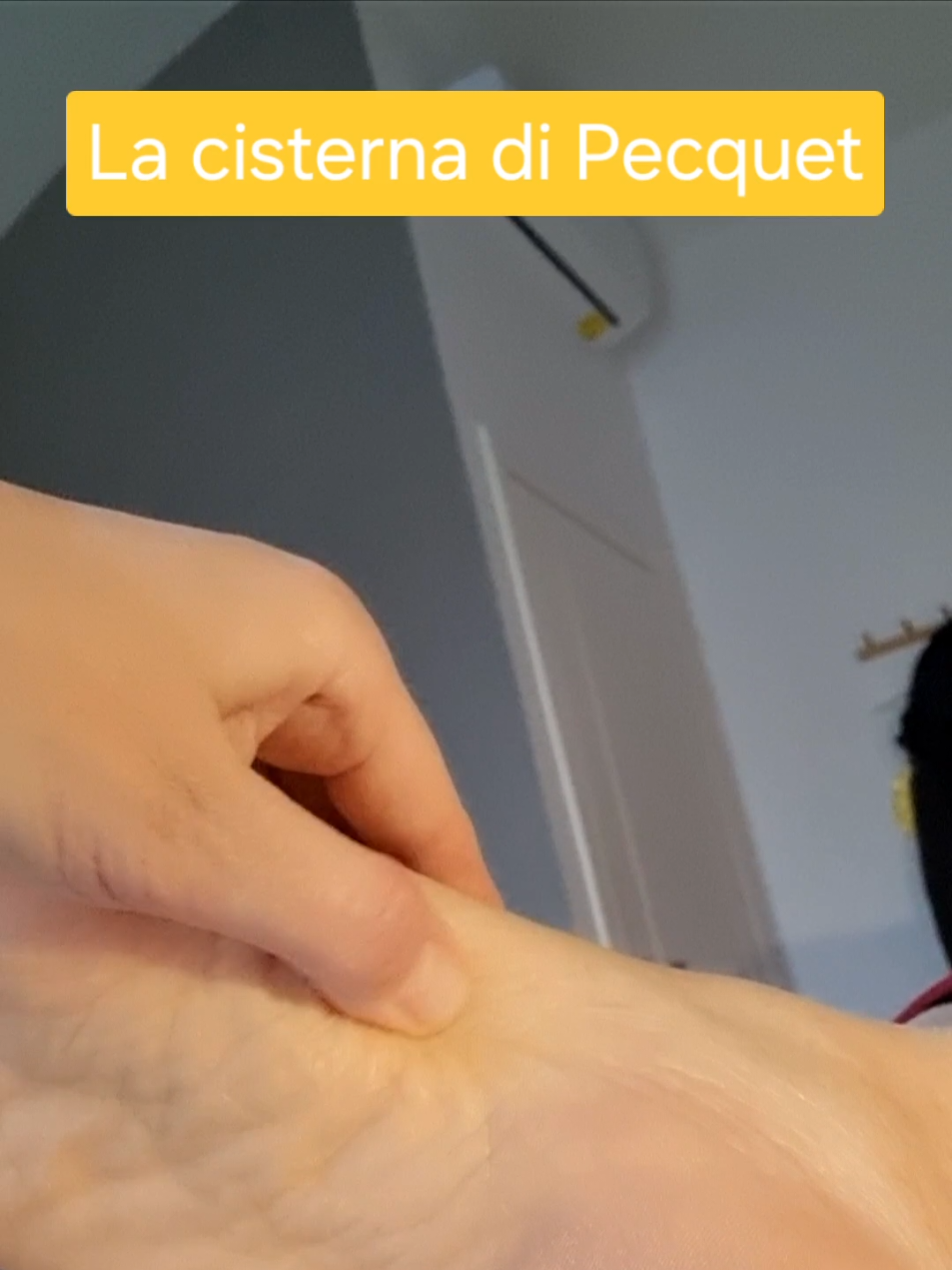 @daipiediallanima