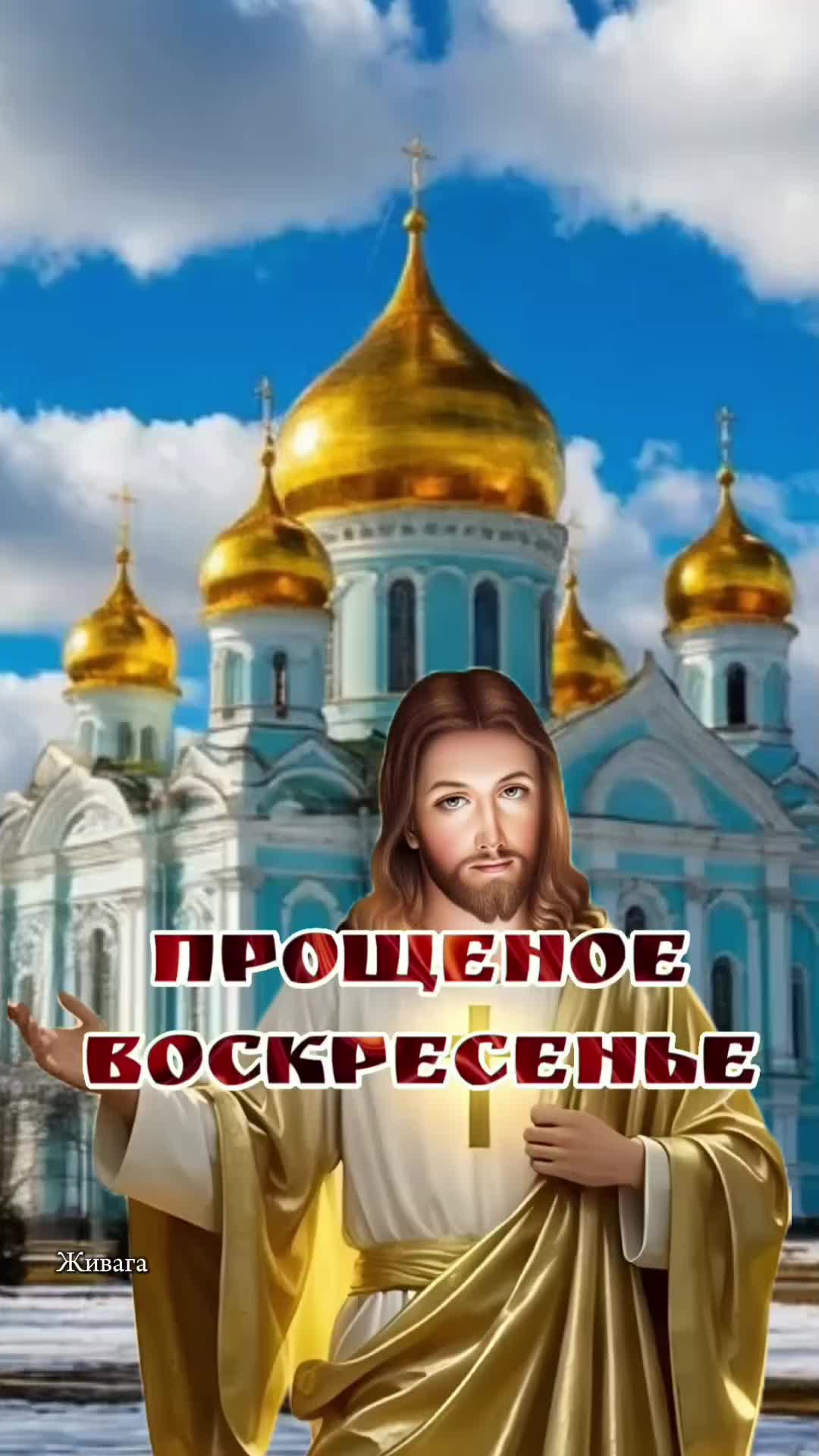 @Наталья Живага❤