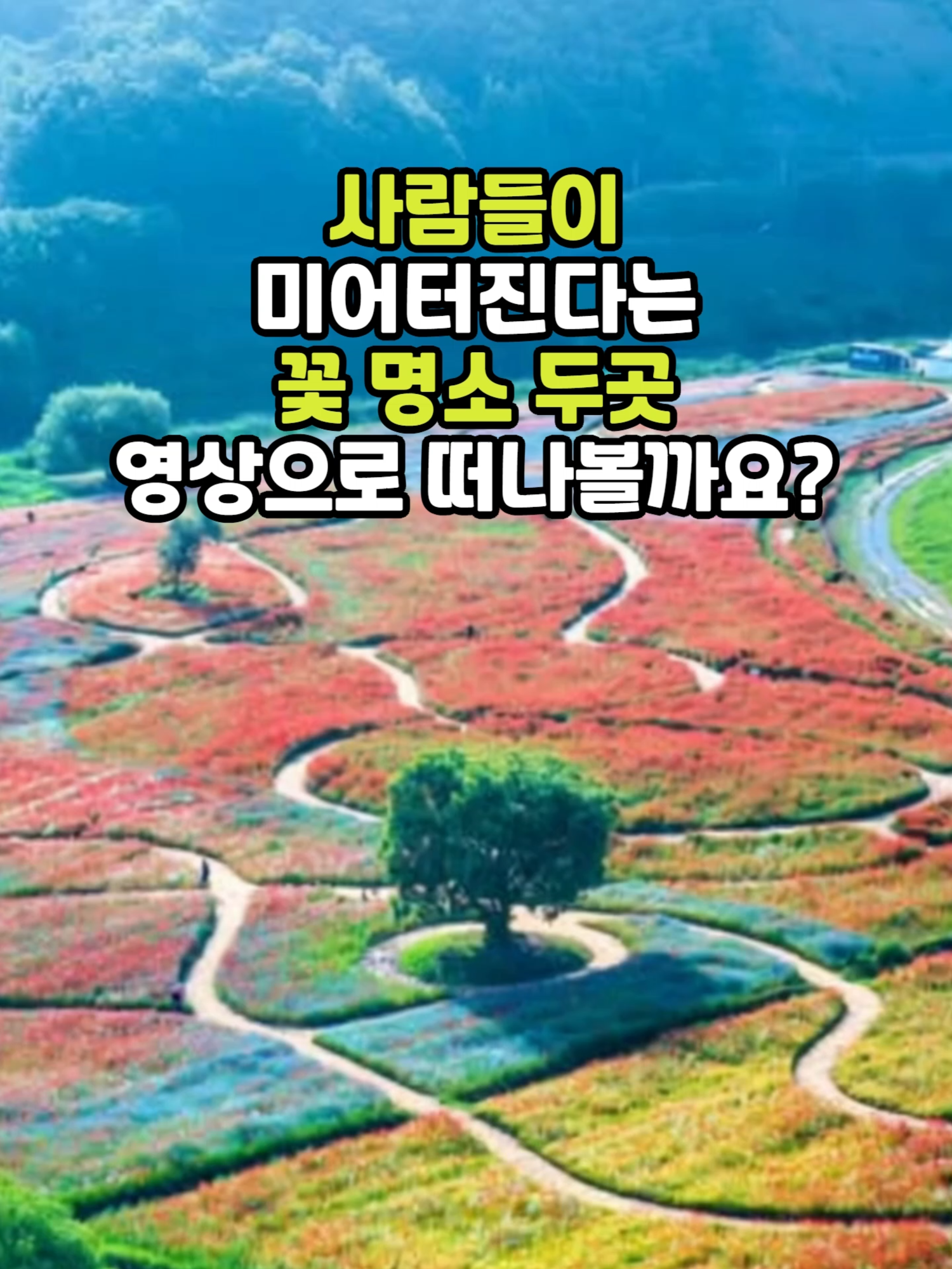 @꽃길