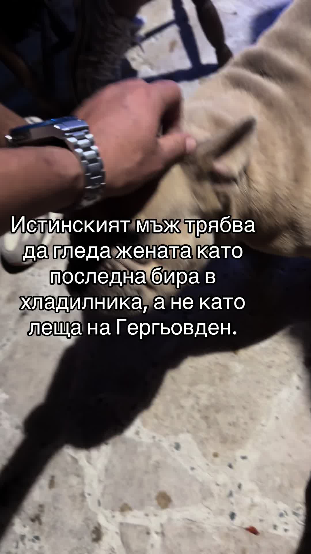 @Велизар