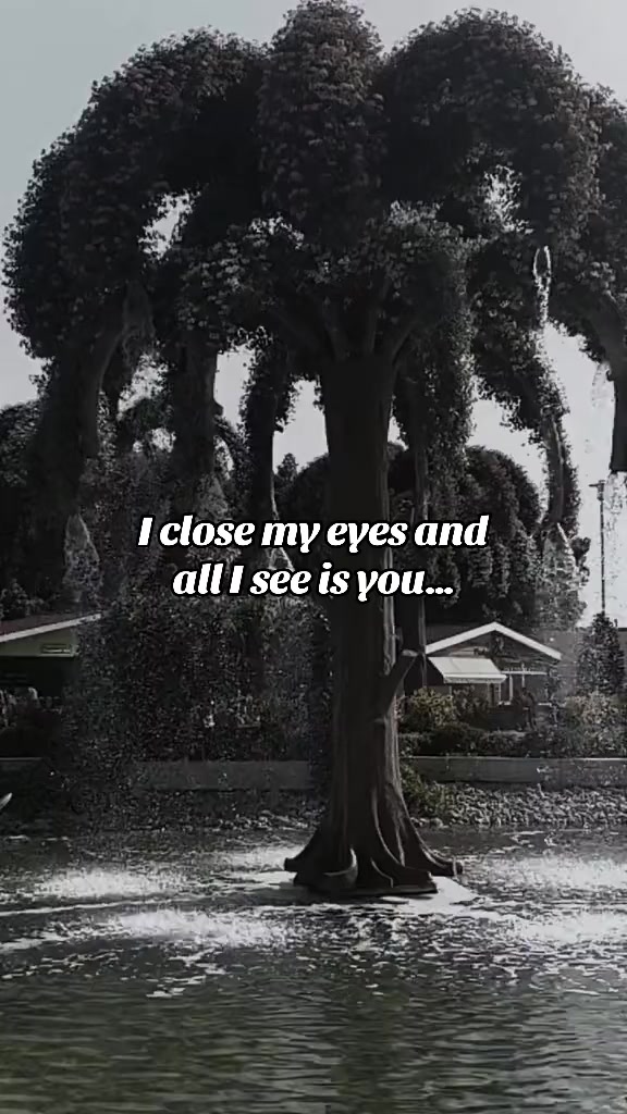 @DS Quotes🫀