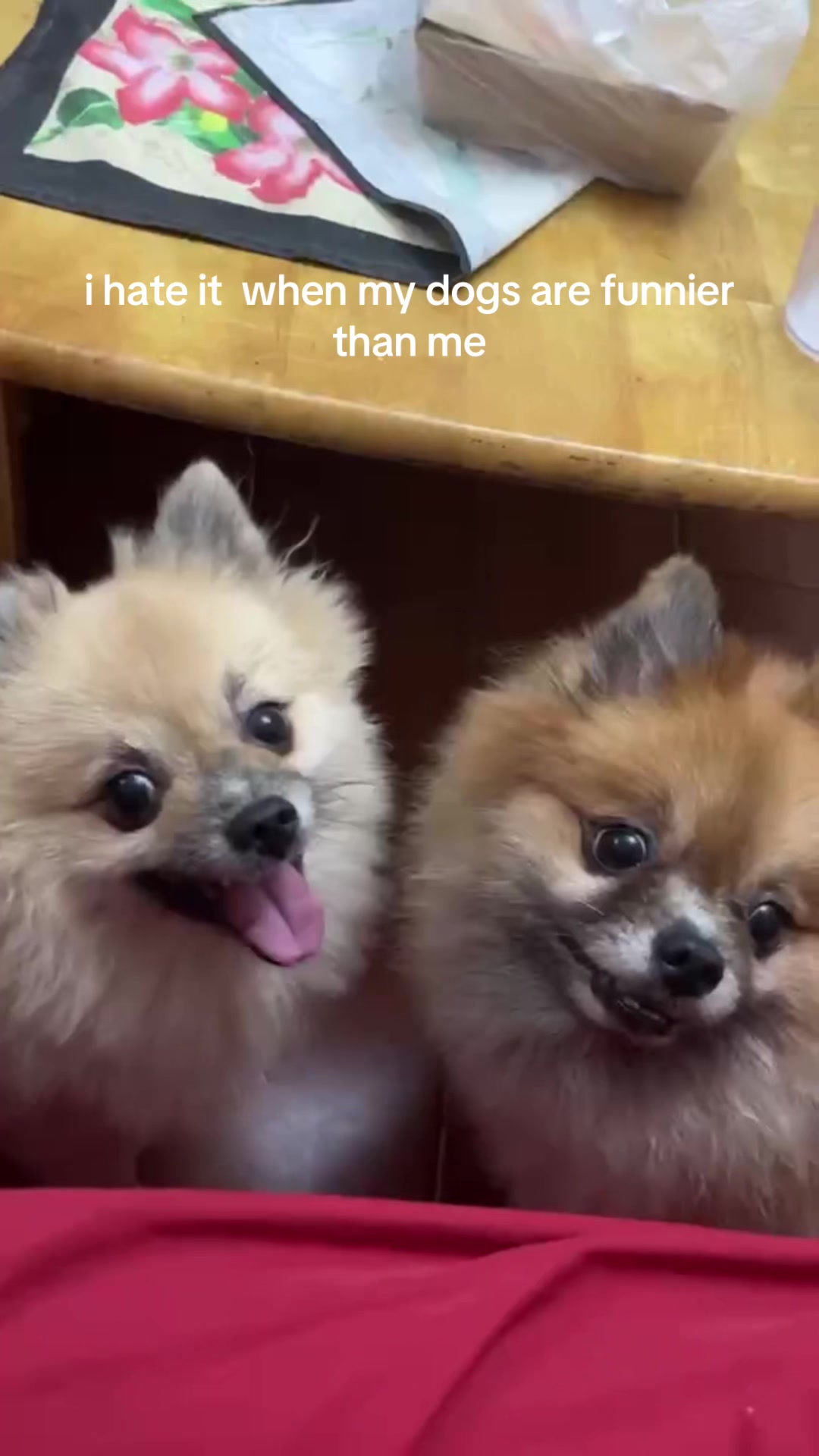 @bianca