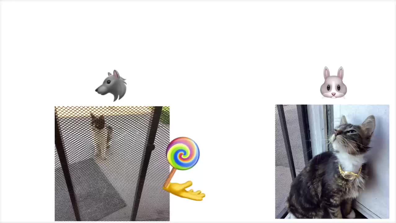 @Kateye