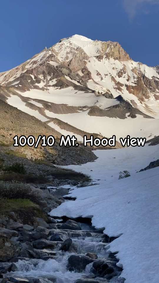 @hoodlandbazaar