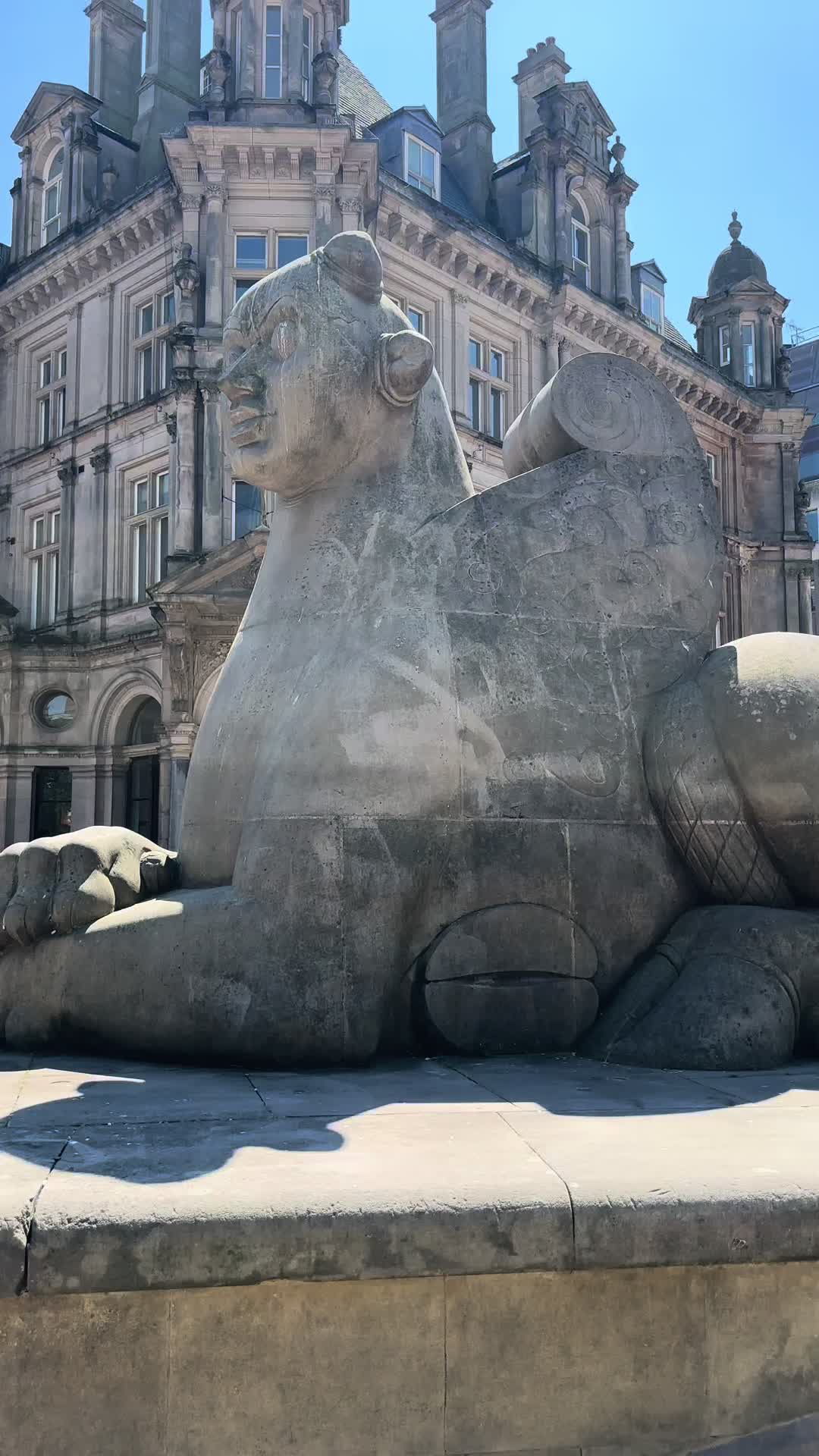@ðŸð» ð¶âïž