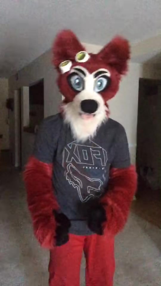 @🦊 Pete The Fox 🦊
