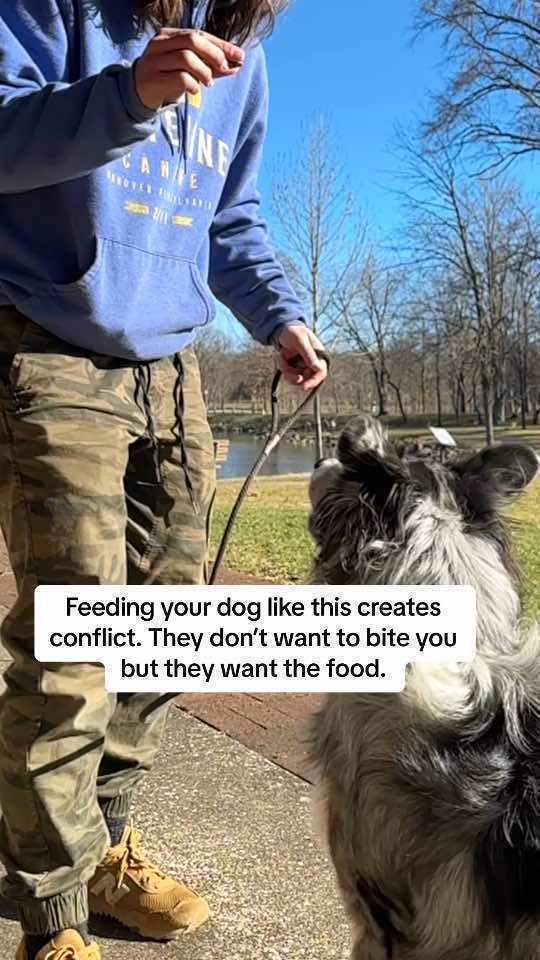 @OUTBOUNDDOGS