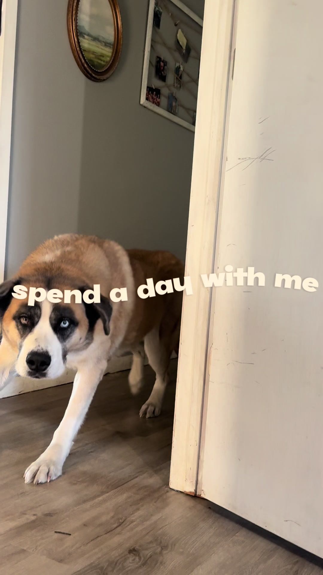 @Kayla