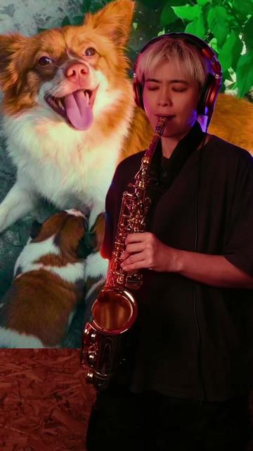 @Keyin Saxophonist Official