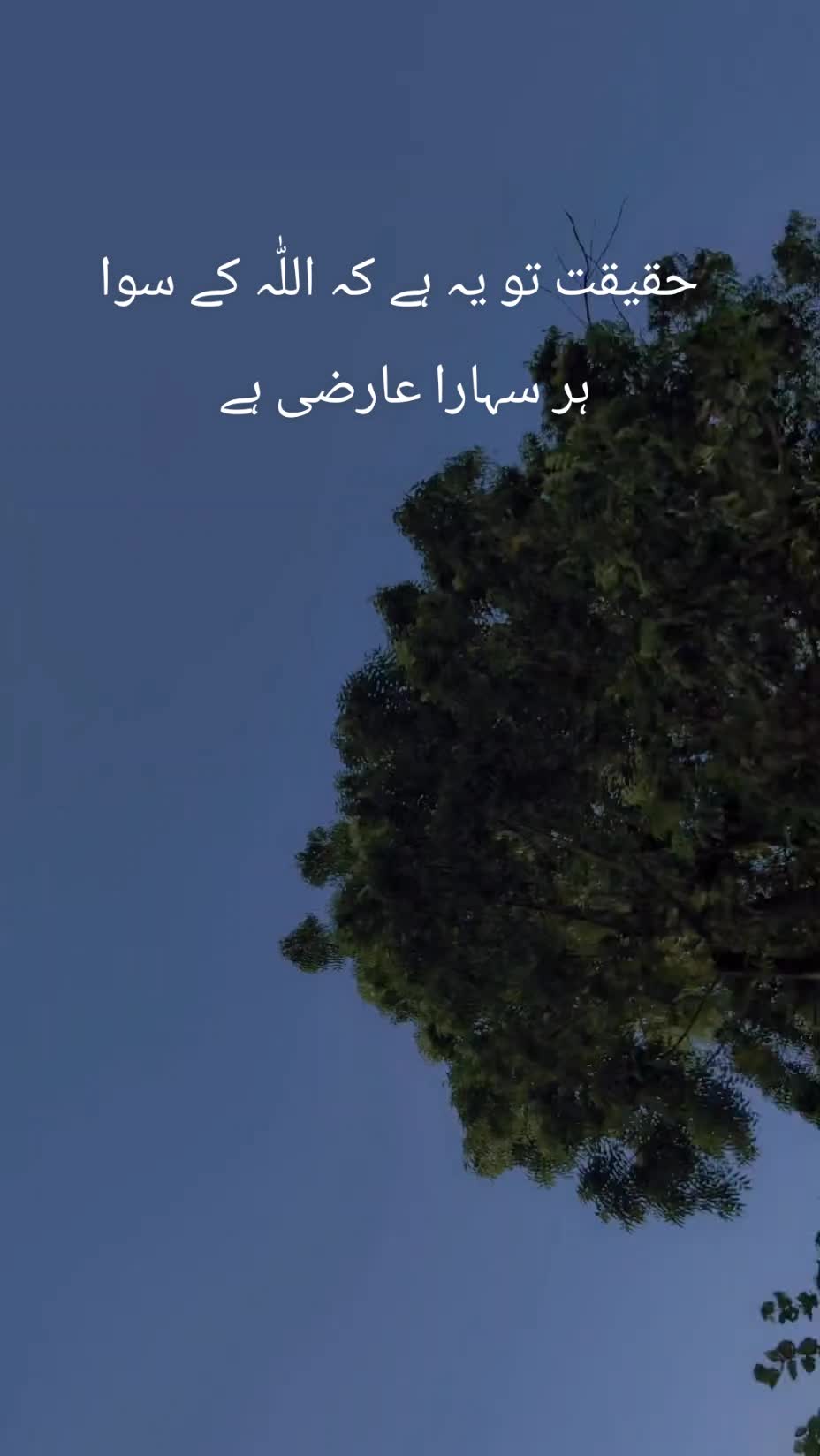 @★ دل کی تحریر ★