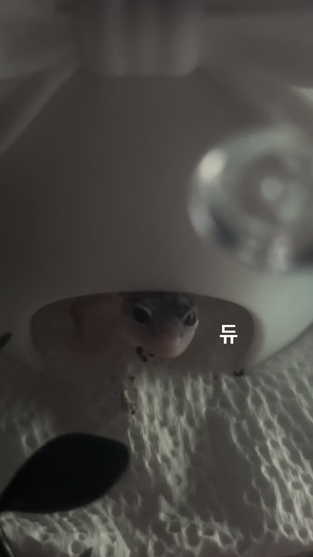 @듀
