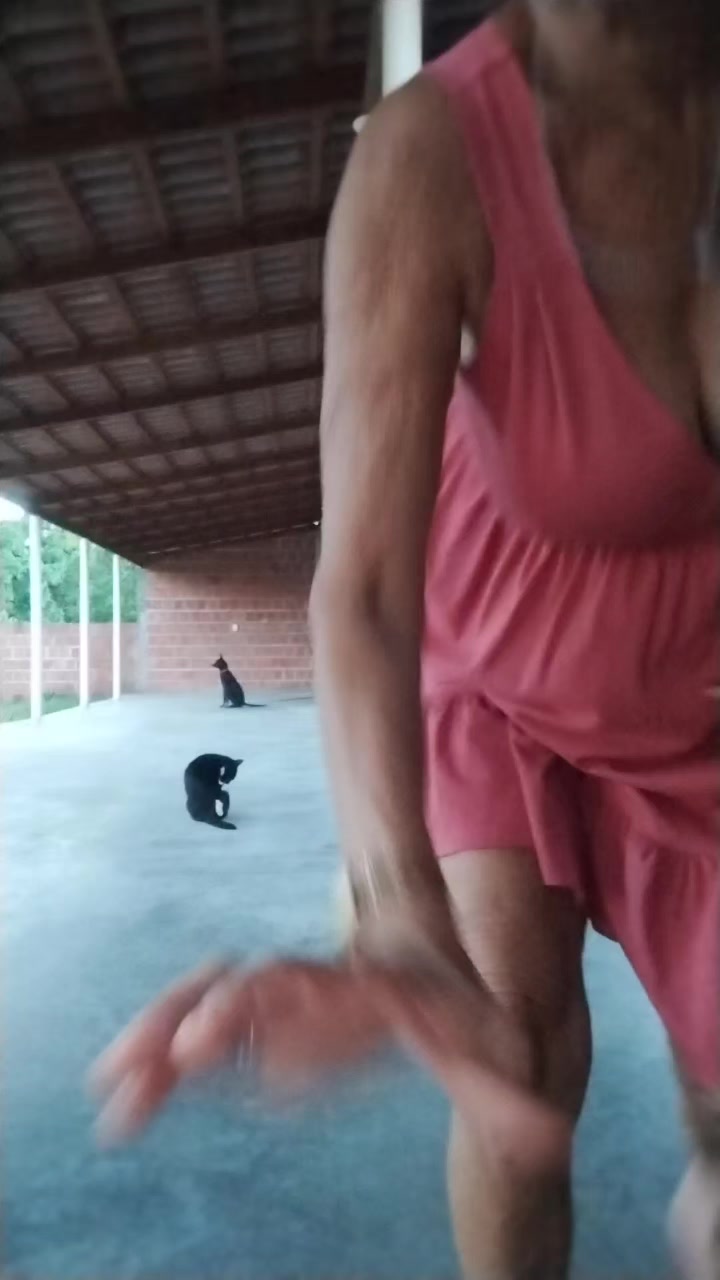 @Vilane Teixeira