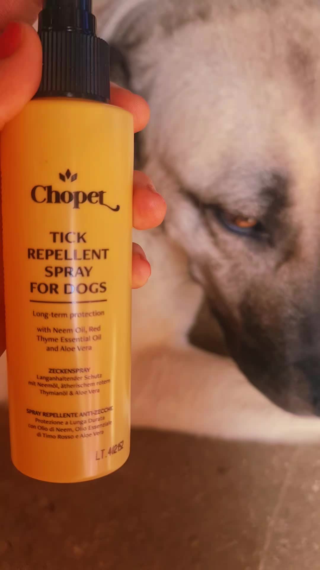 @Wellness for Pet