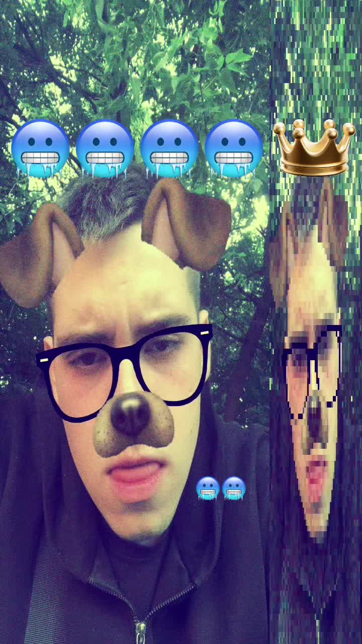 @Тгк: мини пиг