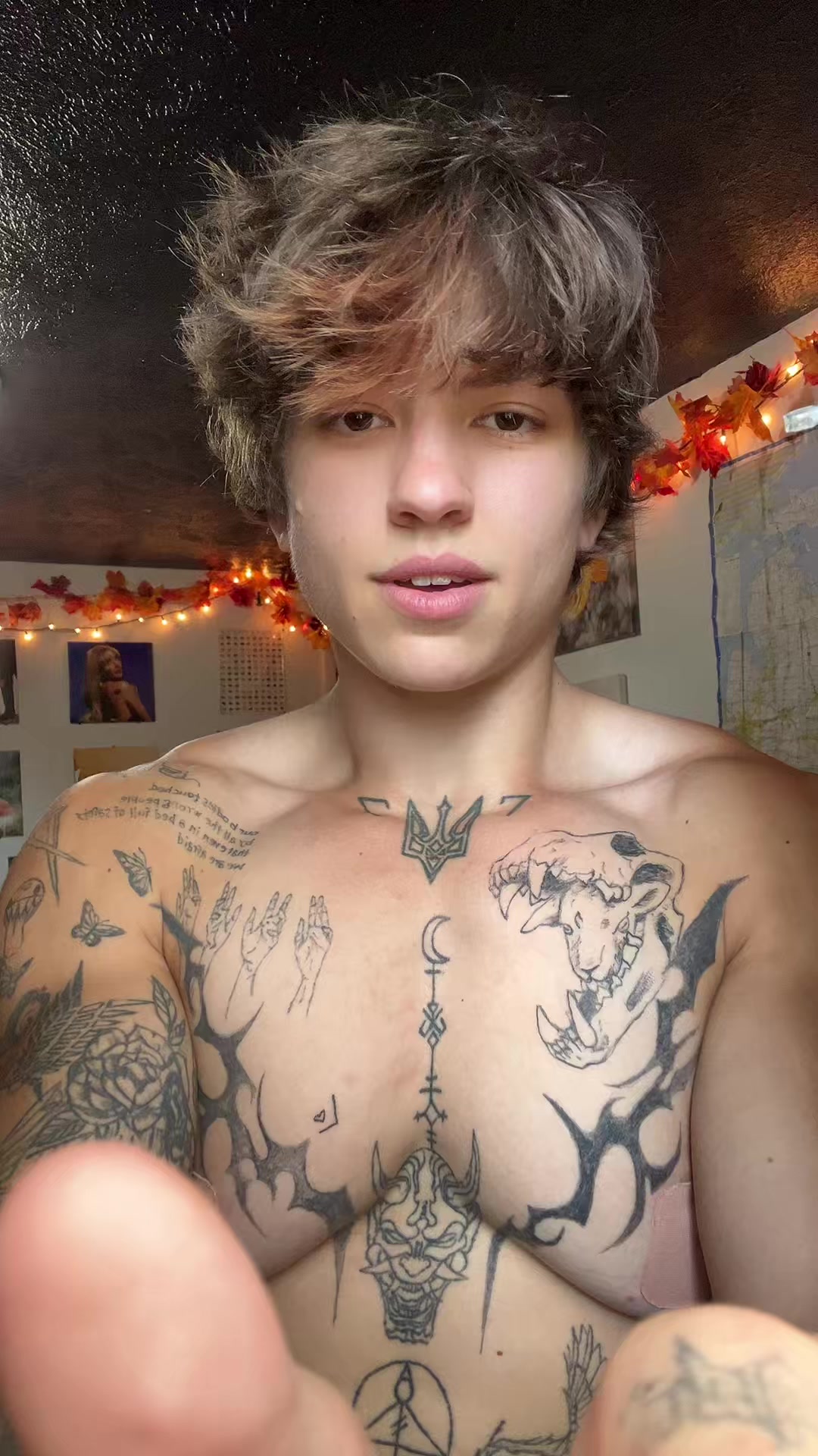 @Kaine Schippa