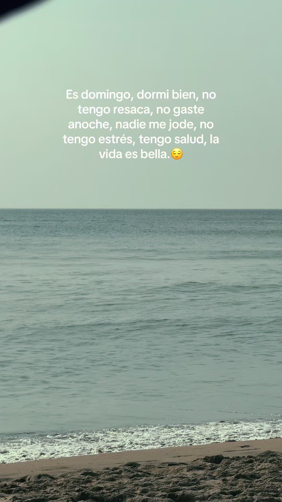 @Abel Velásquez 🦺👷♂️