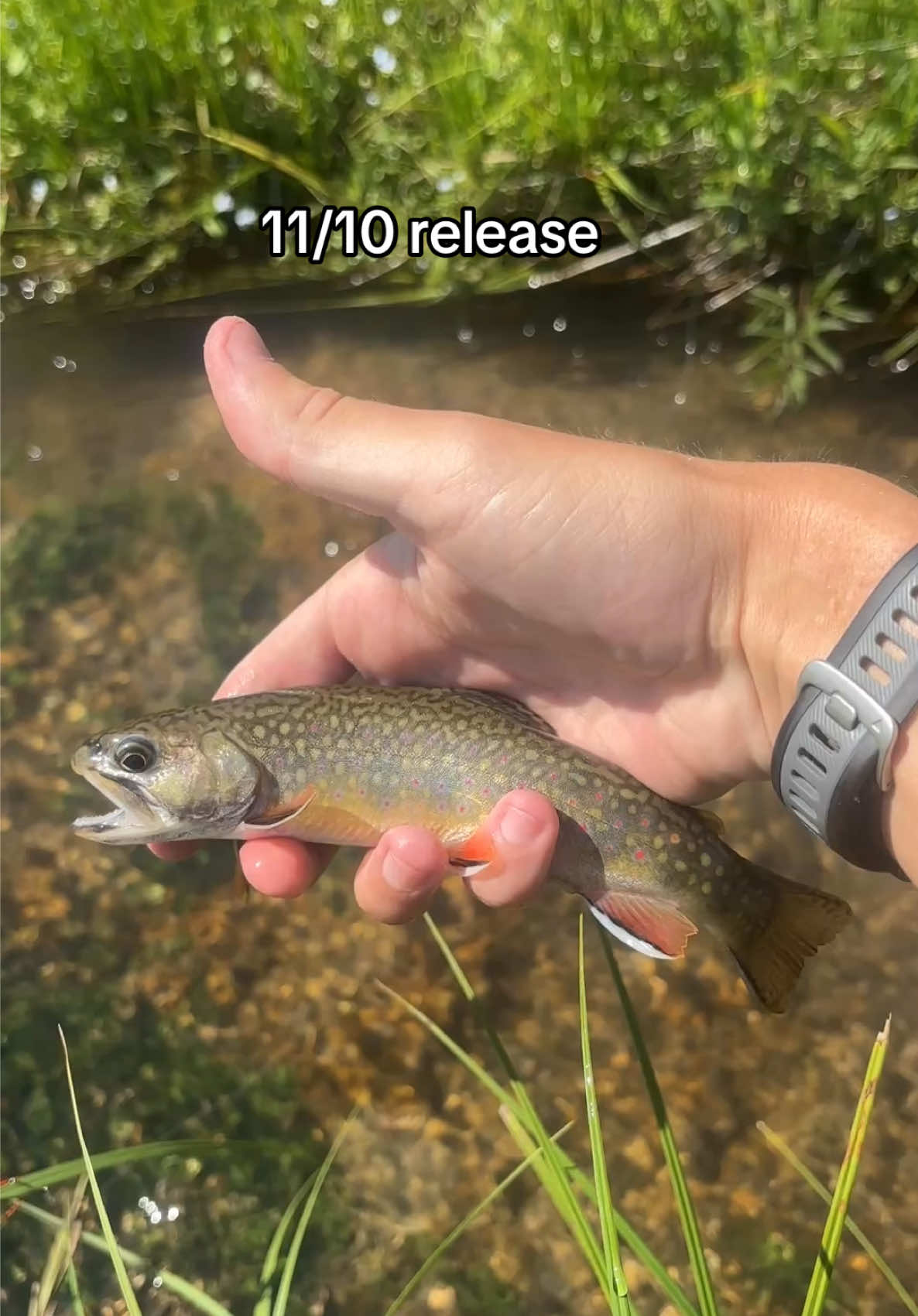 @FlyFishDelawhere
