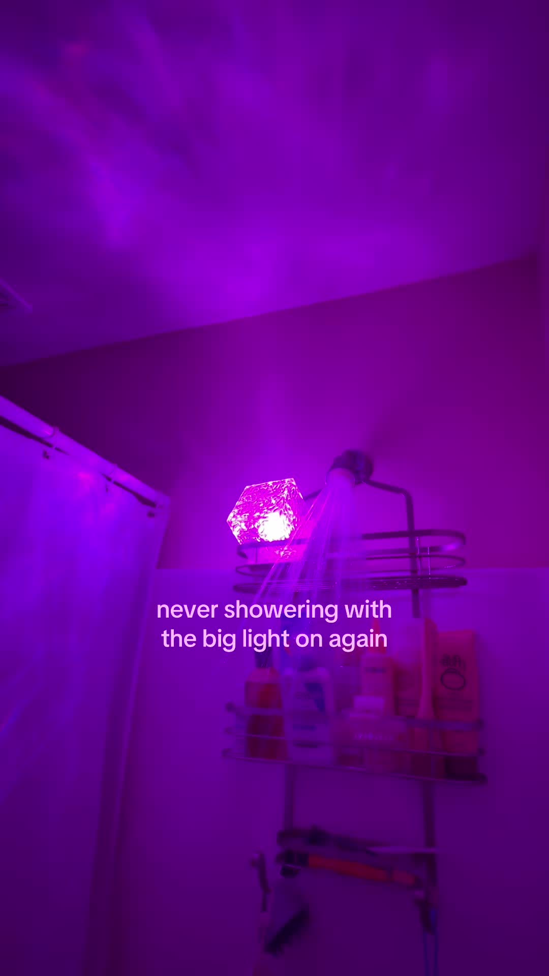@avajobst