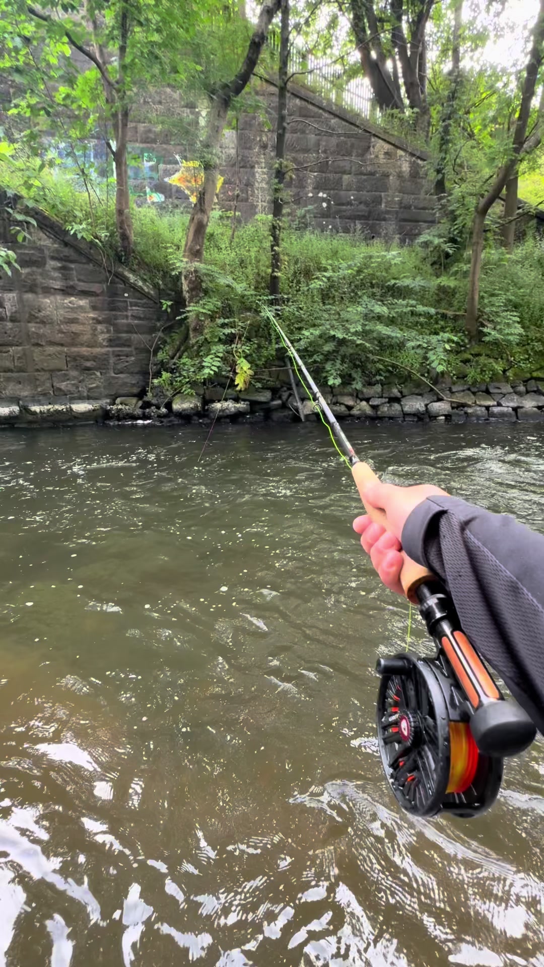 @Alba Trout 🏴