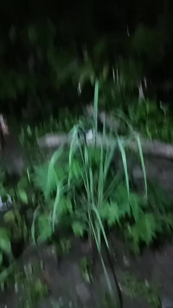 @davedm402