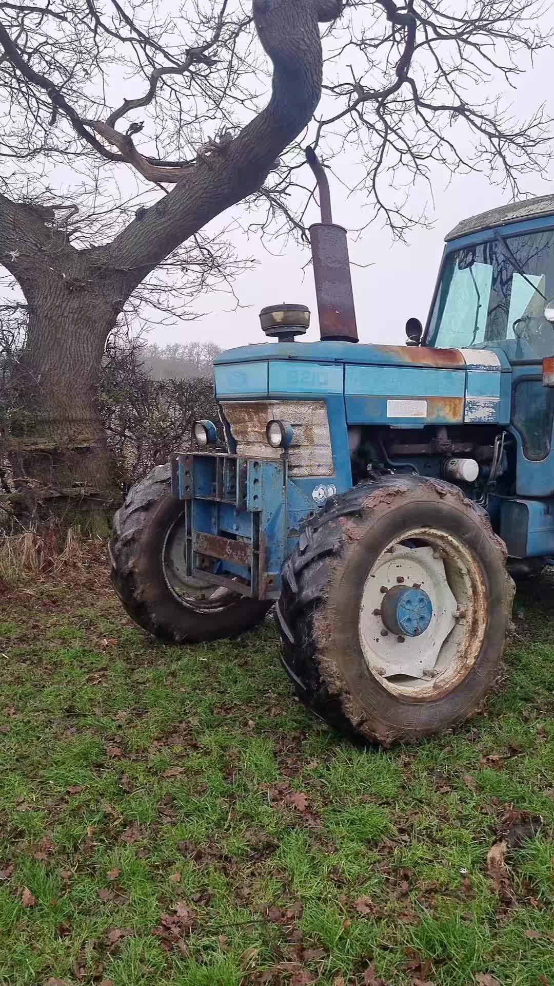 @massey1987