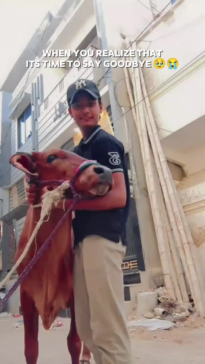 @🙌🫀عمار شیخ 🔥👀
