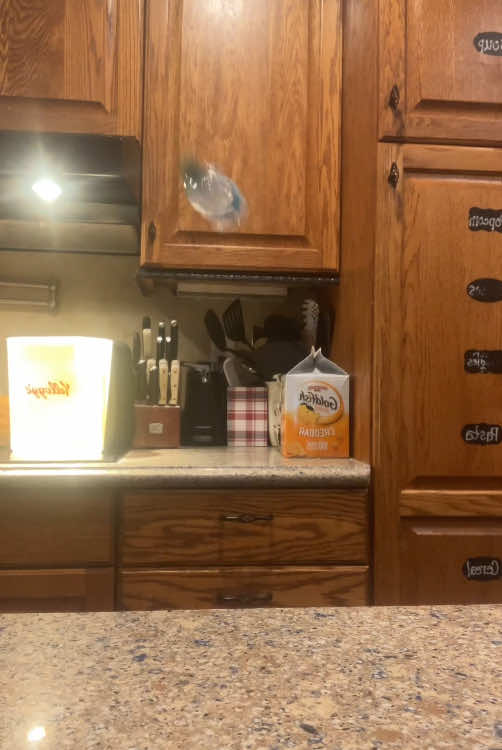 @probottleflippers