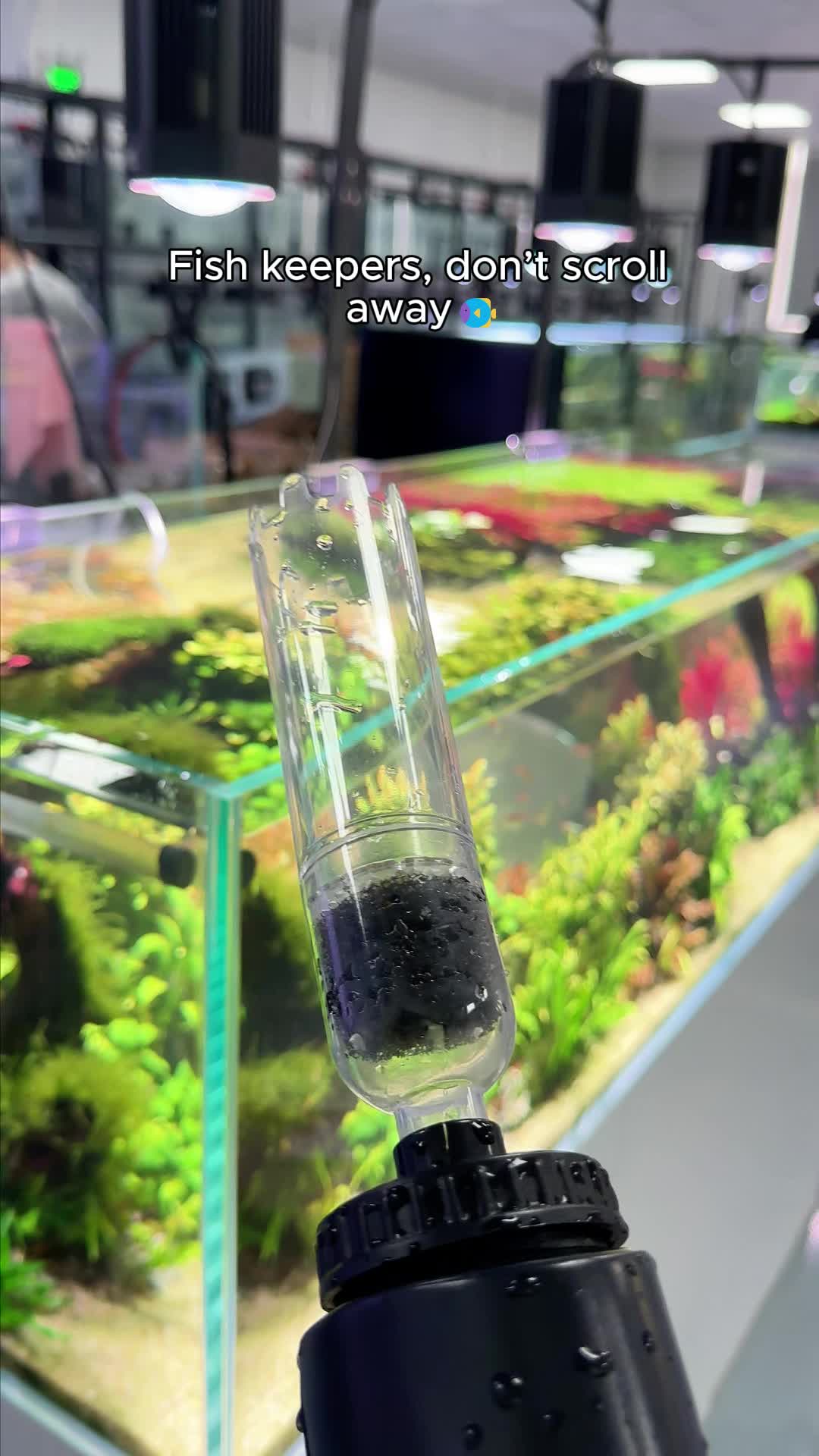 @AQQA Aquarium Store