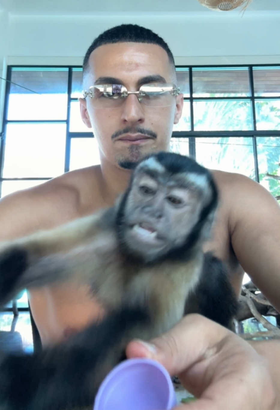 @Tarzane 🦍