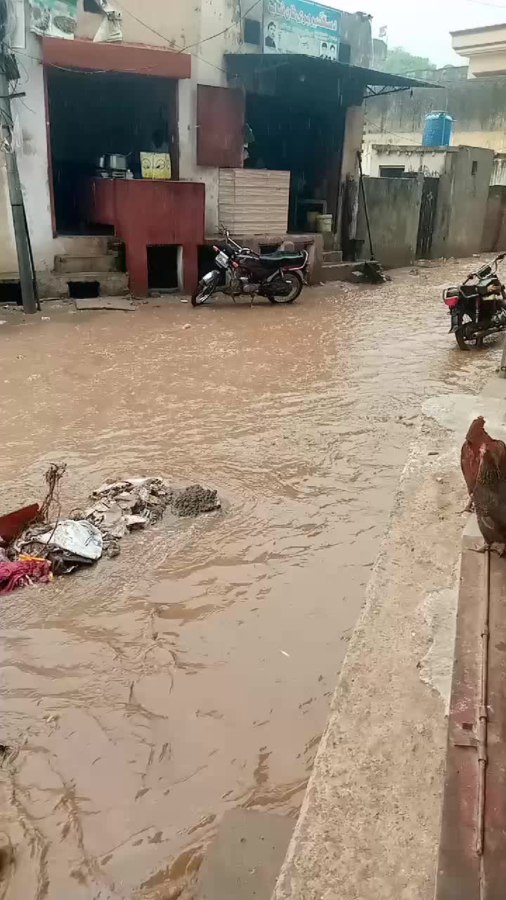 @wajid ali bop