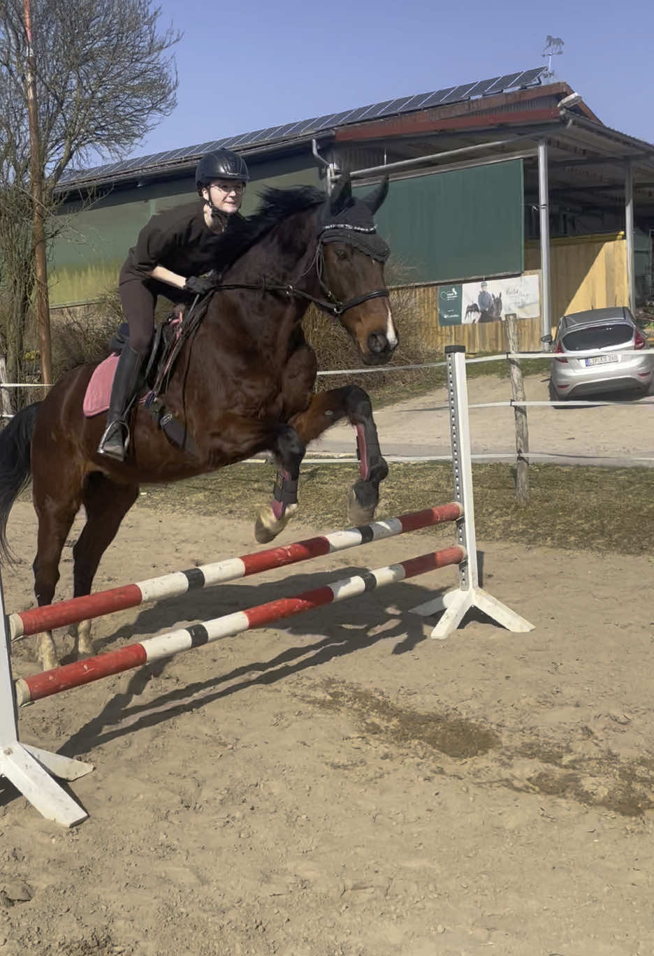 @reiterhofalteheld