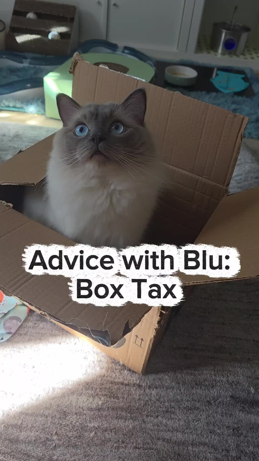 @DailyDoseOfBlu💙