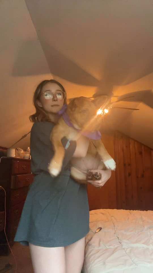 @Scrappy Doo