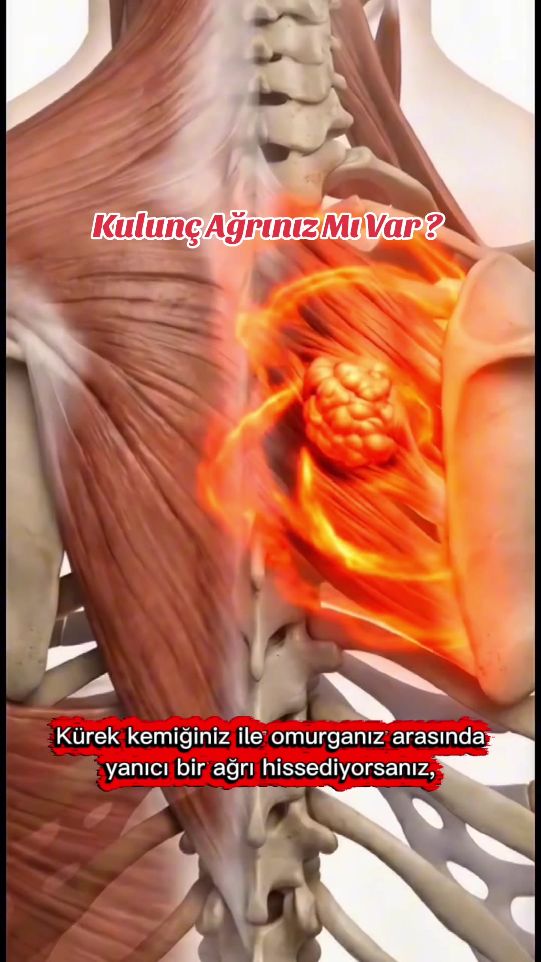 @kartalfizyoterapi