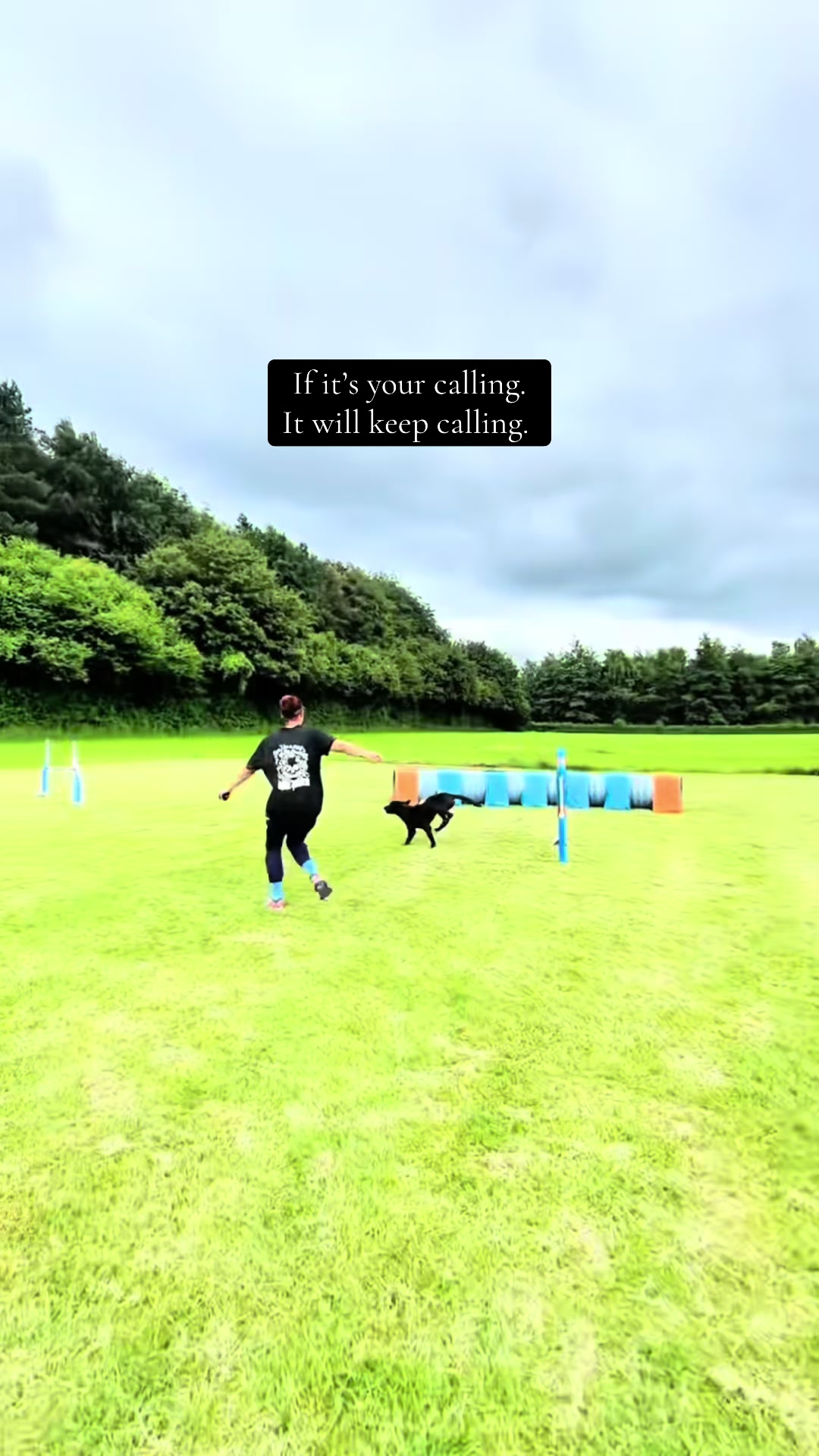 @Valleys Dog Training
