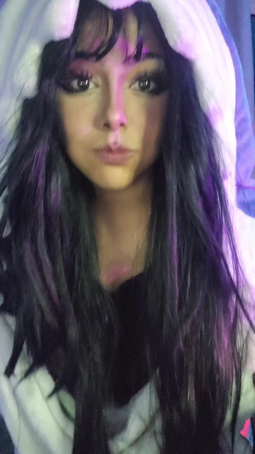 @kikis 🦈
