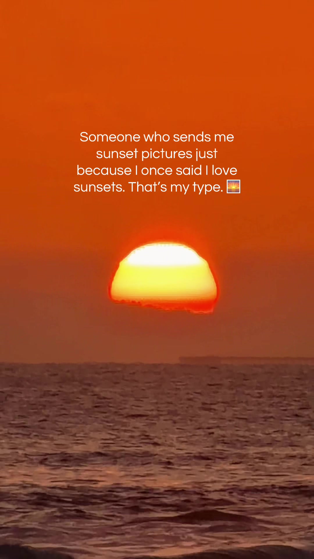 @🌅 Sunset Lori 🌅