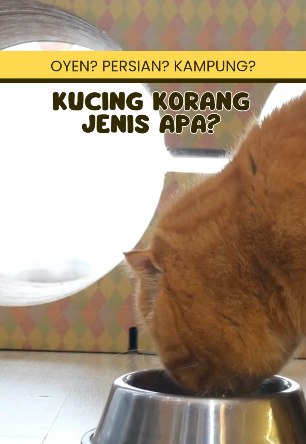 @Powercat Official