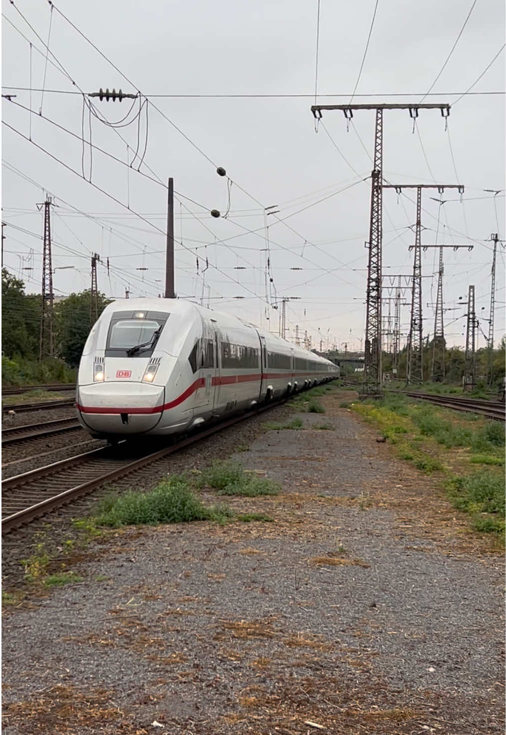 @Trainspotterin_Alina🧃