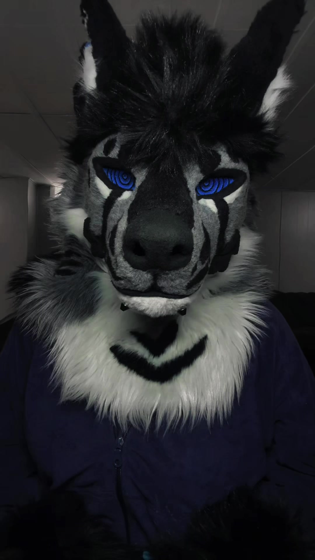 @sonar_hyena_shark