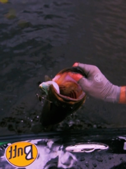 @Fishing TV