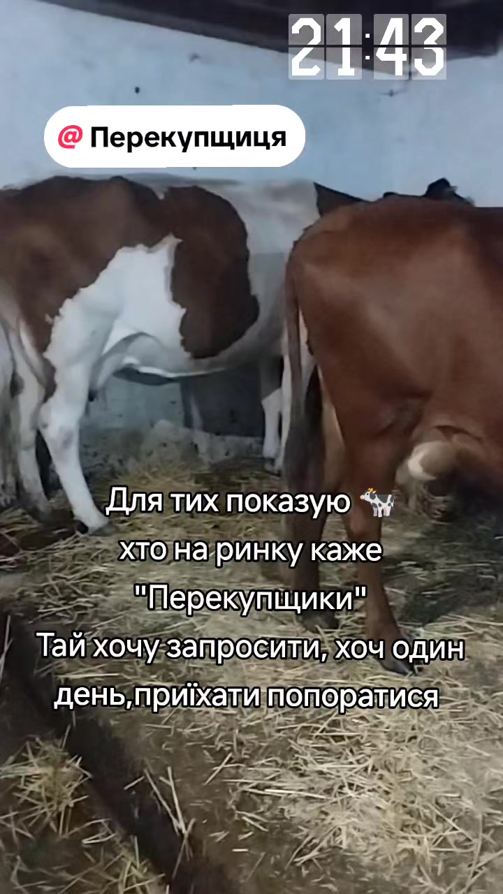 @Марченко Наталья