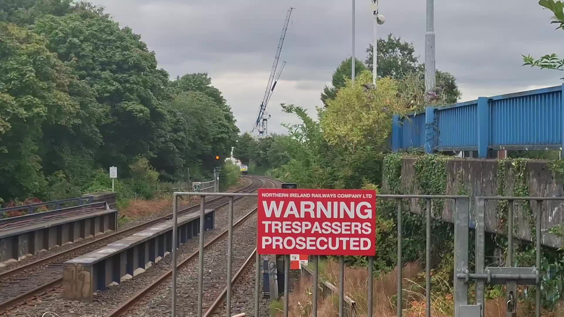 @level trains