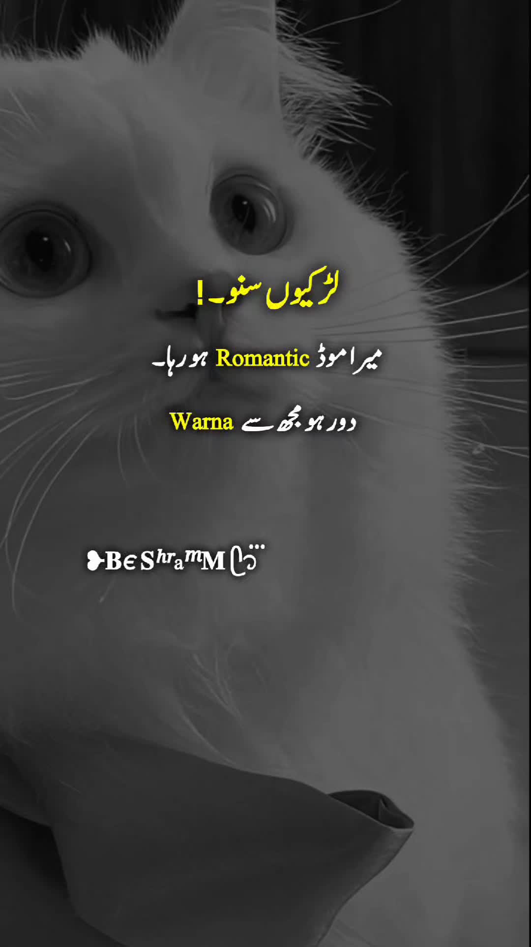 @❥𝐁є 𝐒ʰʳaᵐ𝐌 ᥫ᭡፝֟፝֟