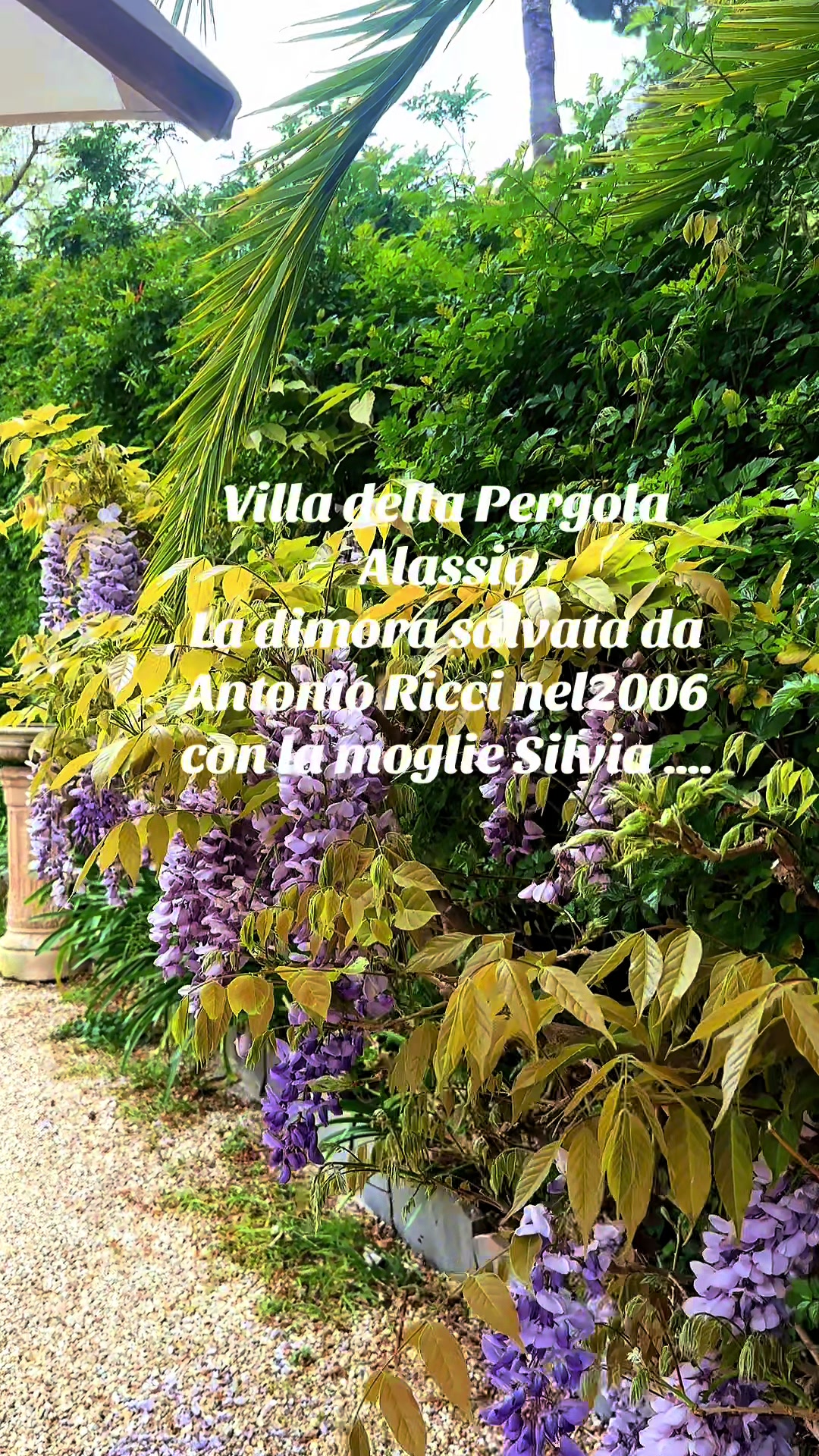@Grazia Pitorri