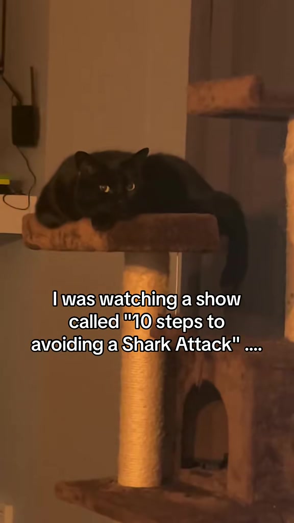 @CaptJackandCrew