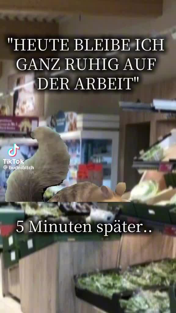 @♥️Katzenmama♥️
