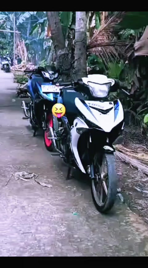 @Mx bocil🚀
