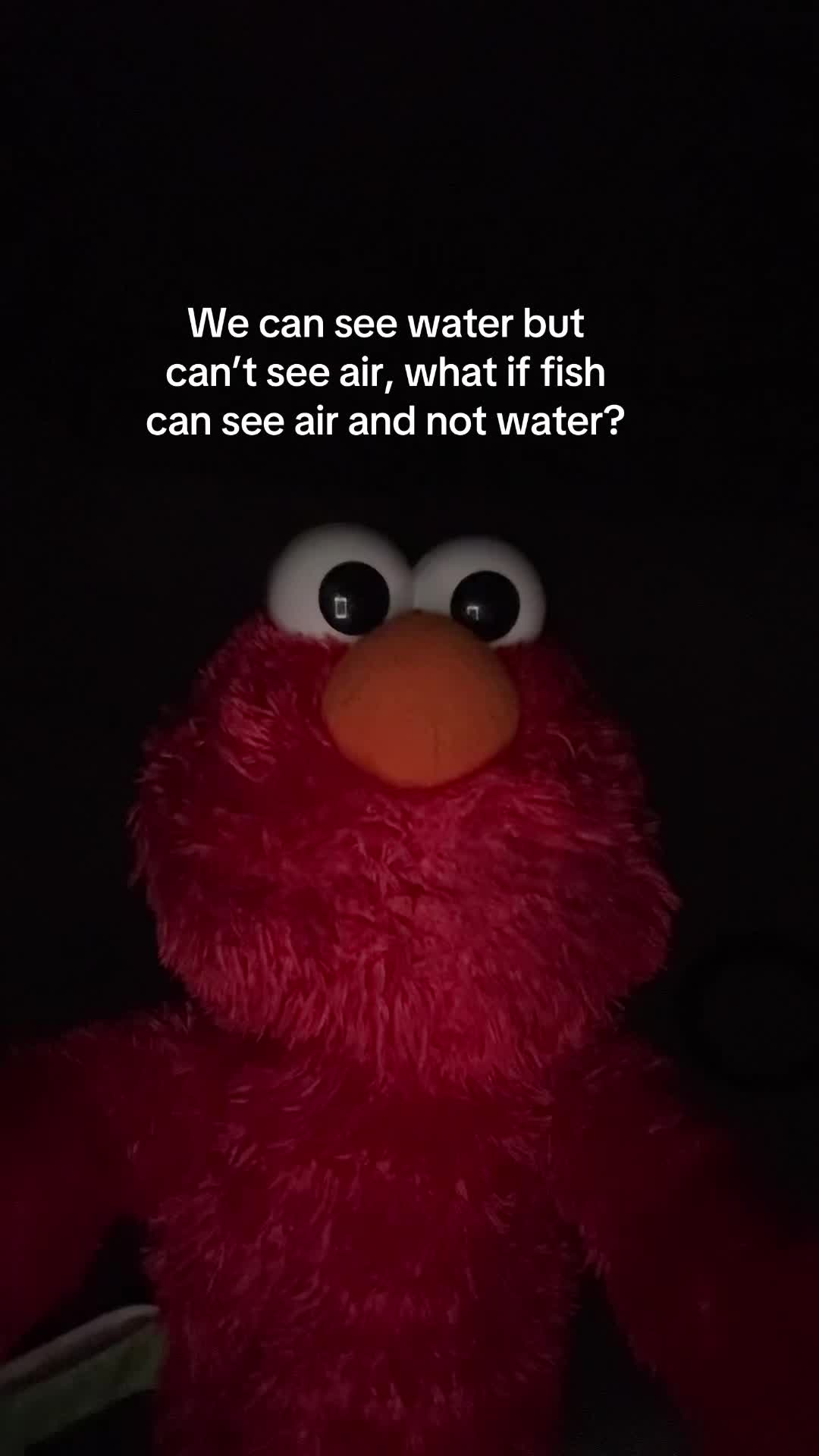 @Elmo_mexican